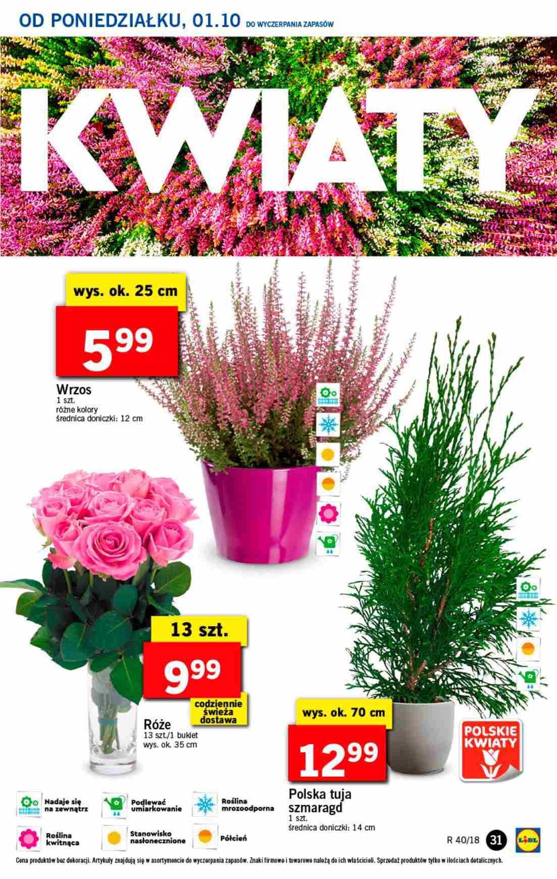 Gazetka promocyjna Lidl do 03/10/2018 str.31