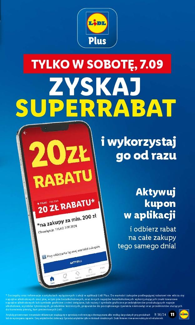 Gazetka promocyjna Lidl do 07/09/2024 str.13