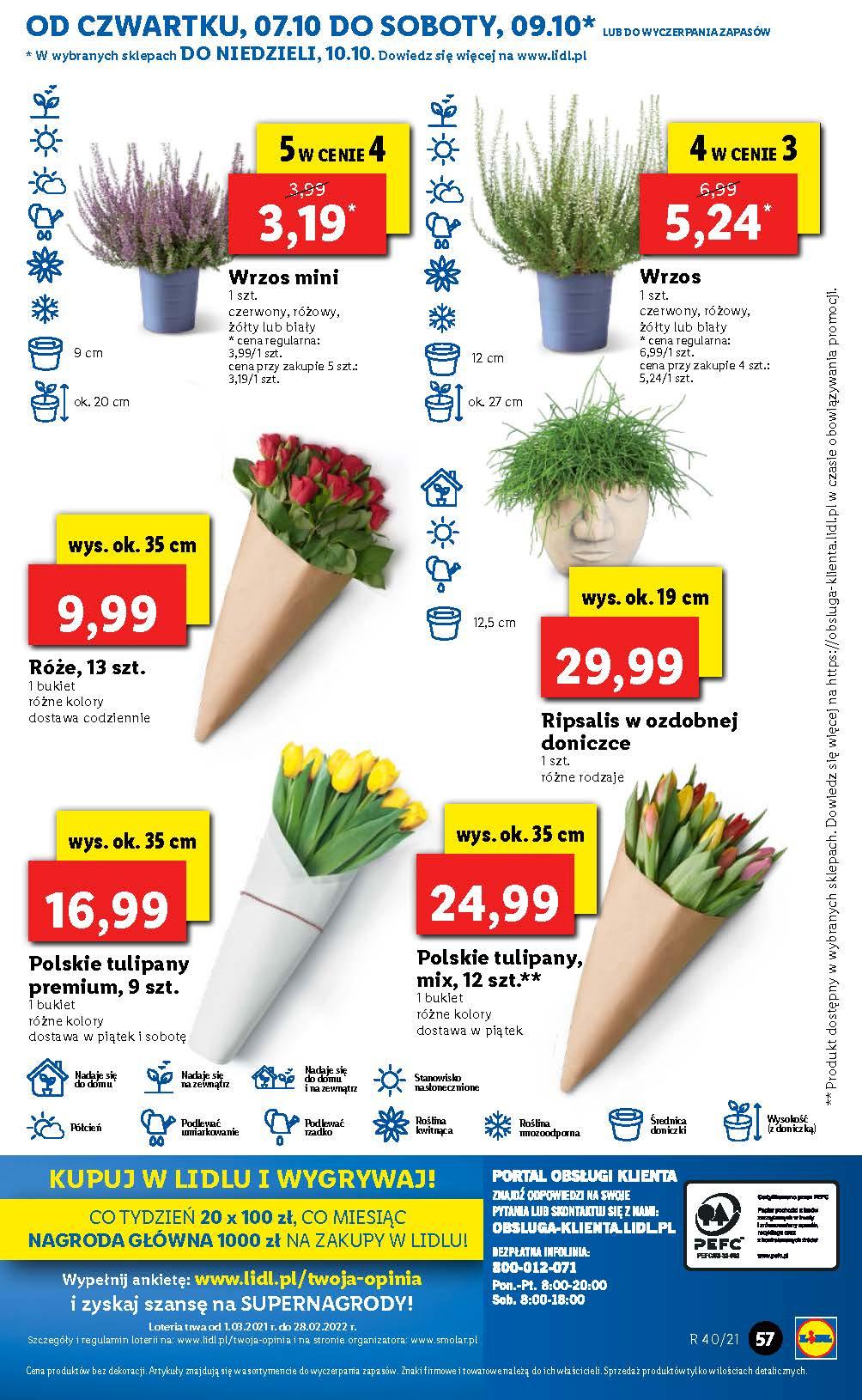 Gazetka promocyjna Lidl do 09/10/2021 str.55