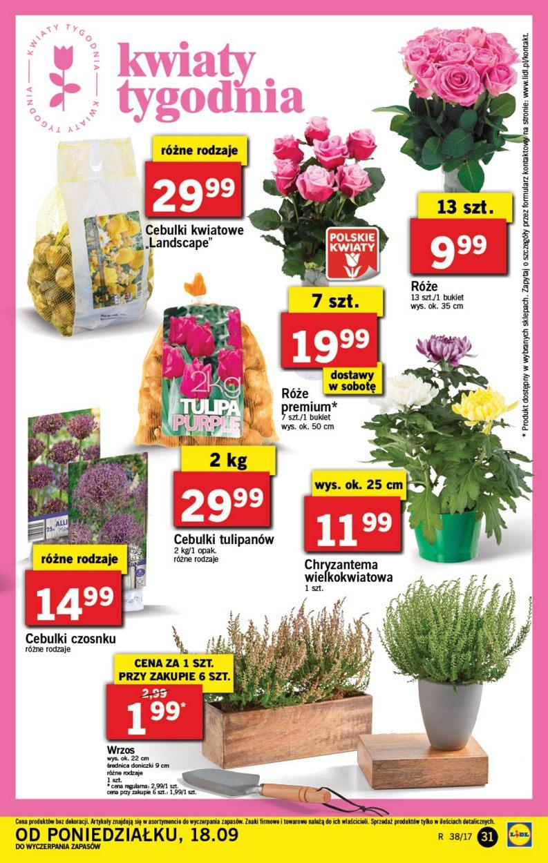 Gazetka promocyjna Lidl do 24/09/2017 str.31