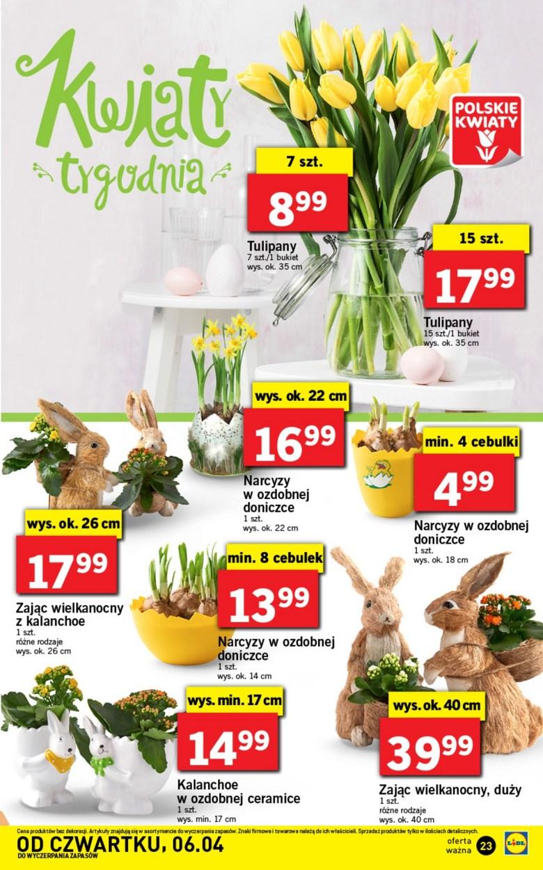 Gazetka promocyjna Lidl do 09/04/2017 str.23