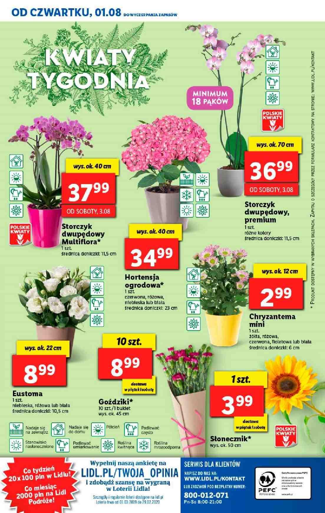 Gazetka promocyjna Lidl do 04/08/2019 str.39