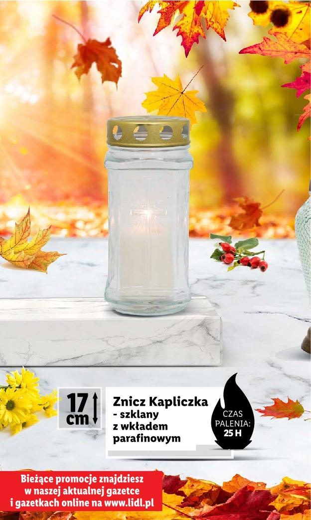 Gazetka promocyjna Lidl do 31/10/2023 str.4