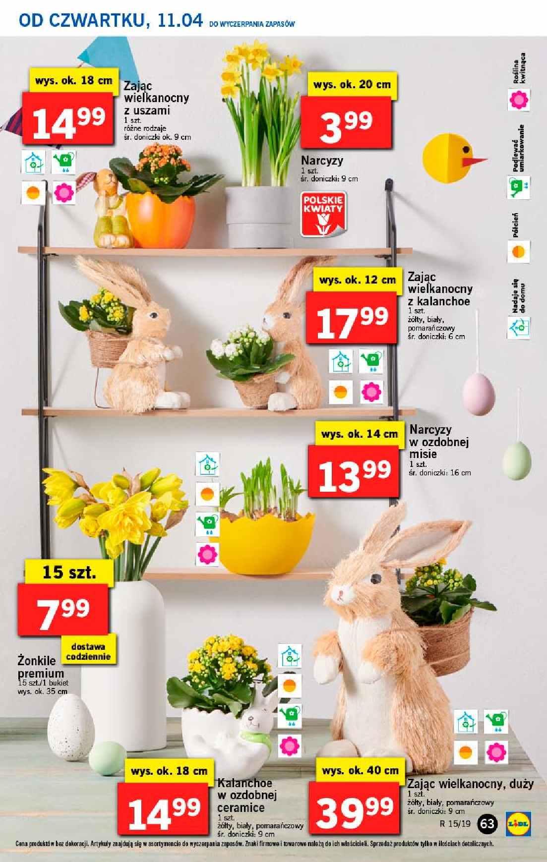 Gazetka promocyjna Lidl do 14/04/2019 str.63