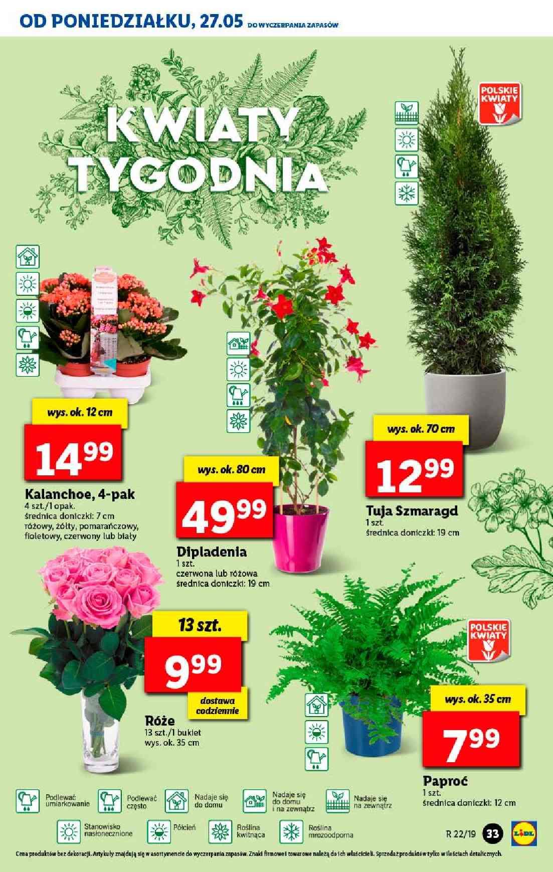 Gazetka promocyjna Lidl do 29/05/2019 str.33