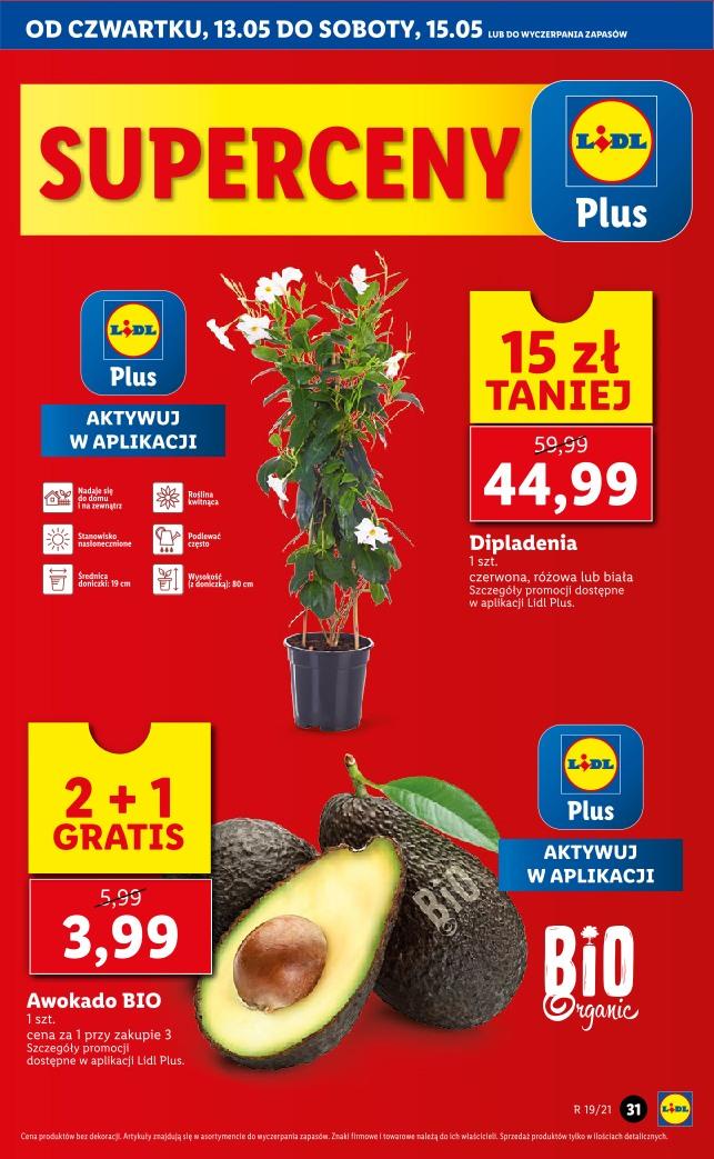 Gazetka promocyjna Lidl do 15/05/2021 str.31