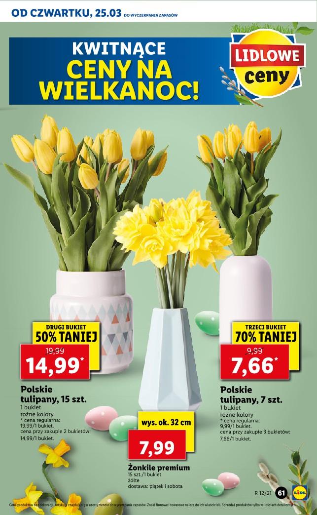 Gazetka promocyjna Lidl do 28/03/2021 str.61