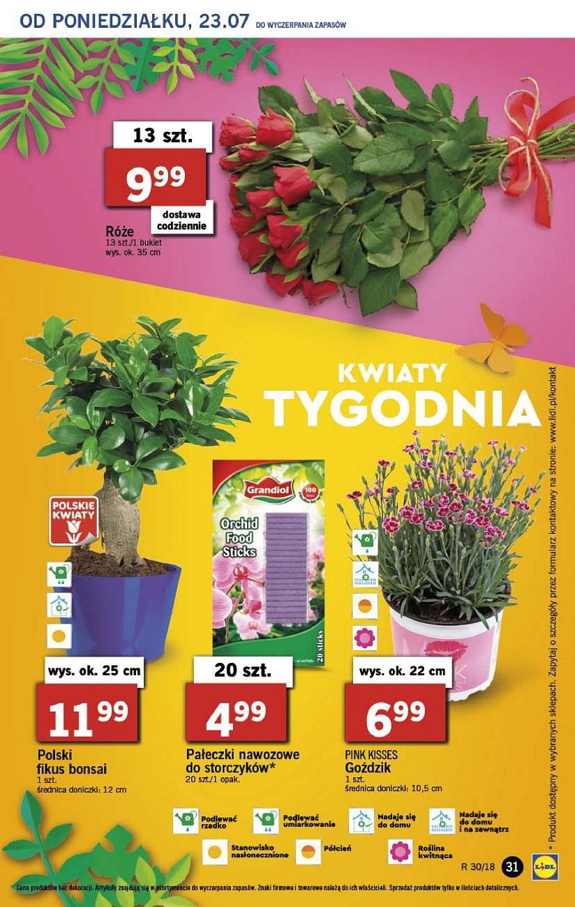 Gazetka promocyjna Lidl do 25/07/2018 str.31