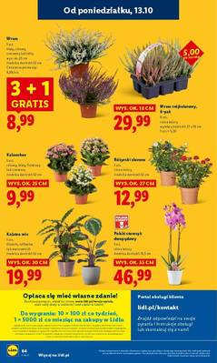 Lidl od poniedziałku
