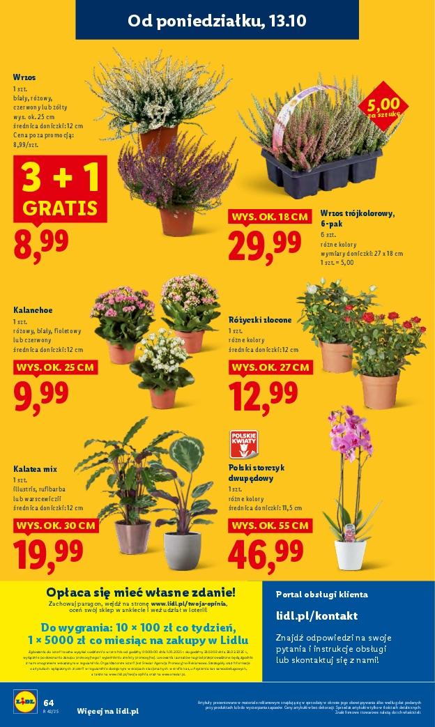 Gazetka promocyjna Lidl do 15/10/2025 str.64