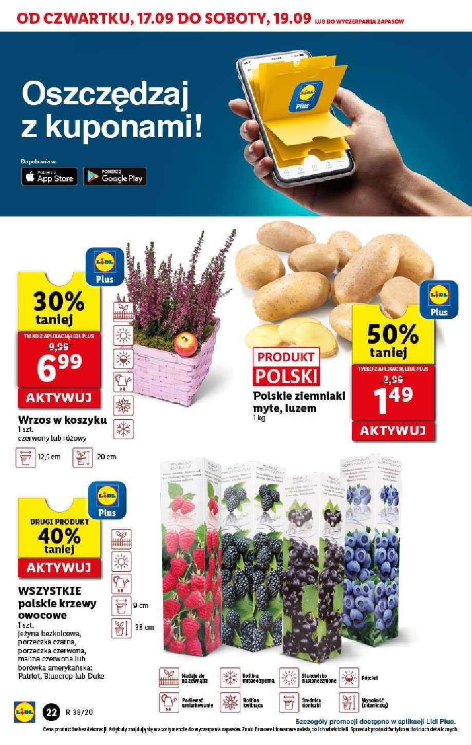 Gazetka promocyjna Lidl do 19/09/2020 str.22