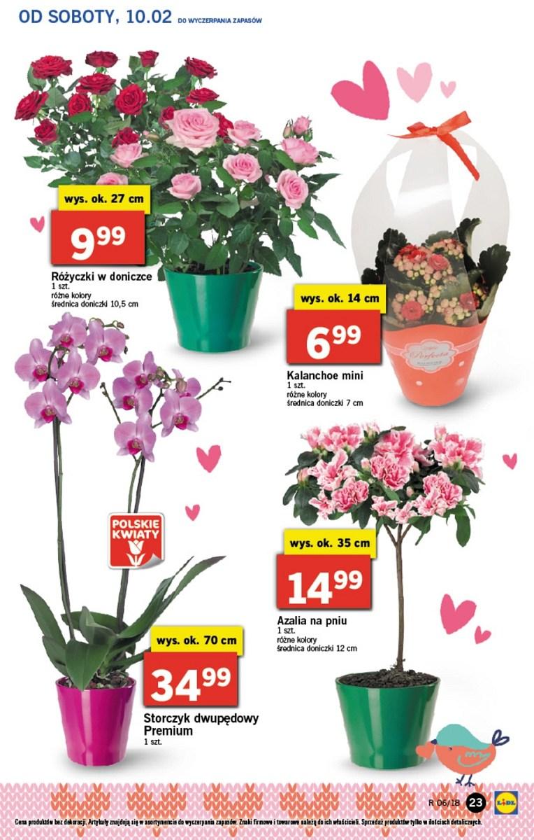 Gazetka promocyjna Lidl do 11/02/2018 str.23