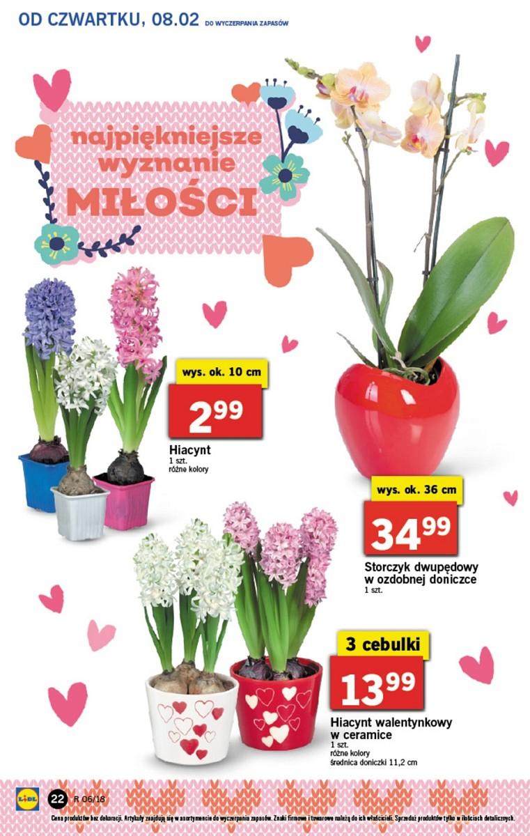 Gazetka promocyjna Lidl do 11/02/2018 str.22