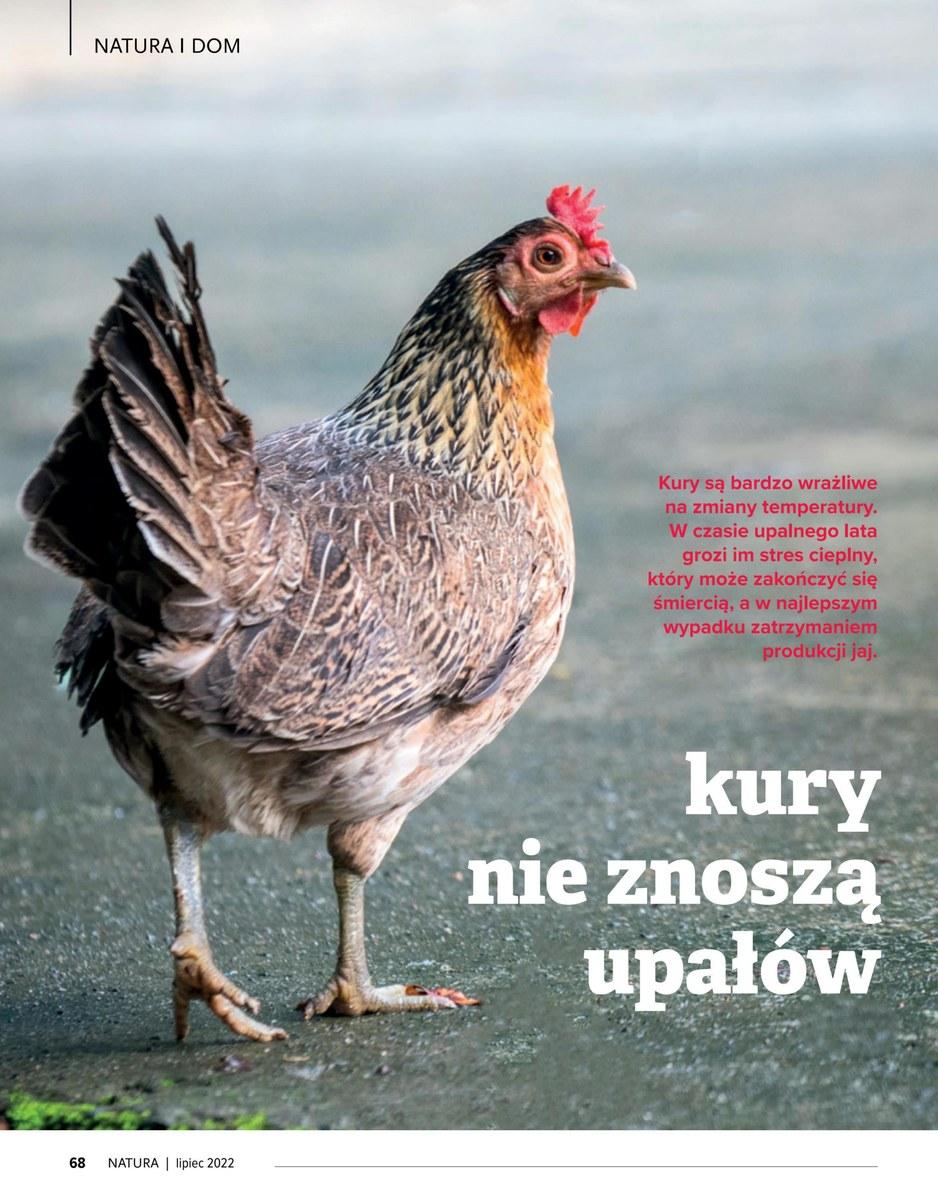 Gazetka promocyjna Drogerie Natura do 31/07/2022 str.68