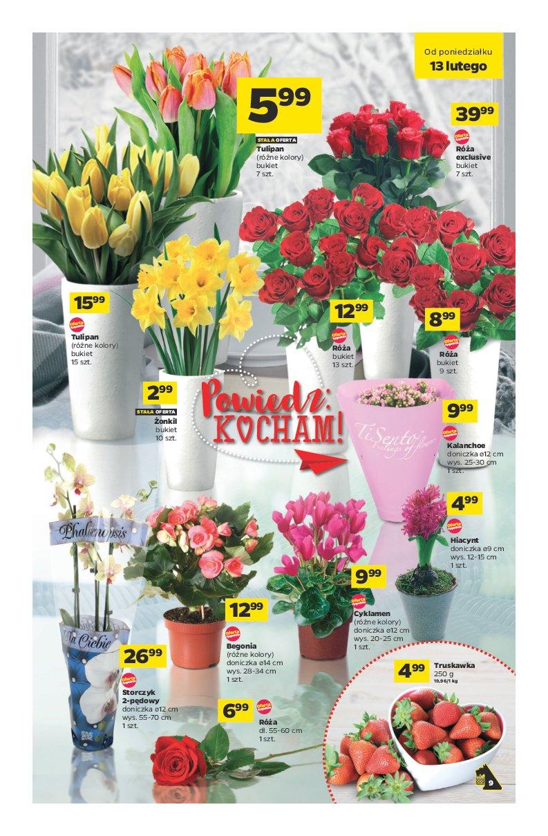 Gazetka promocyjna Netto do 19/02/2017 str.9