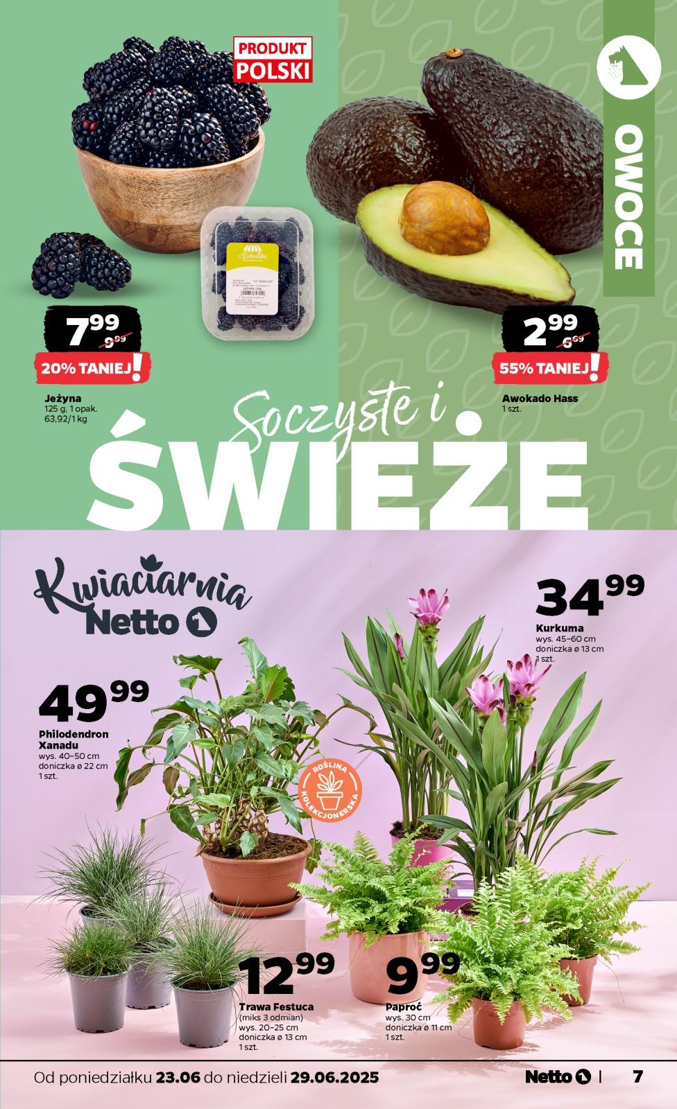 Gazetka promocyjna Netto do 29/06/2025 str.7