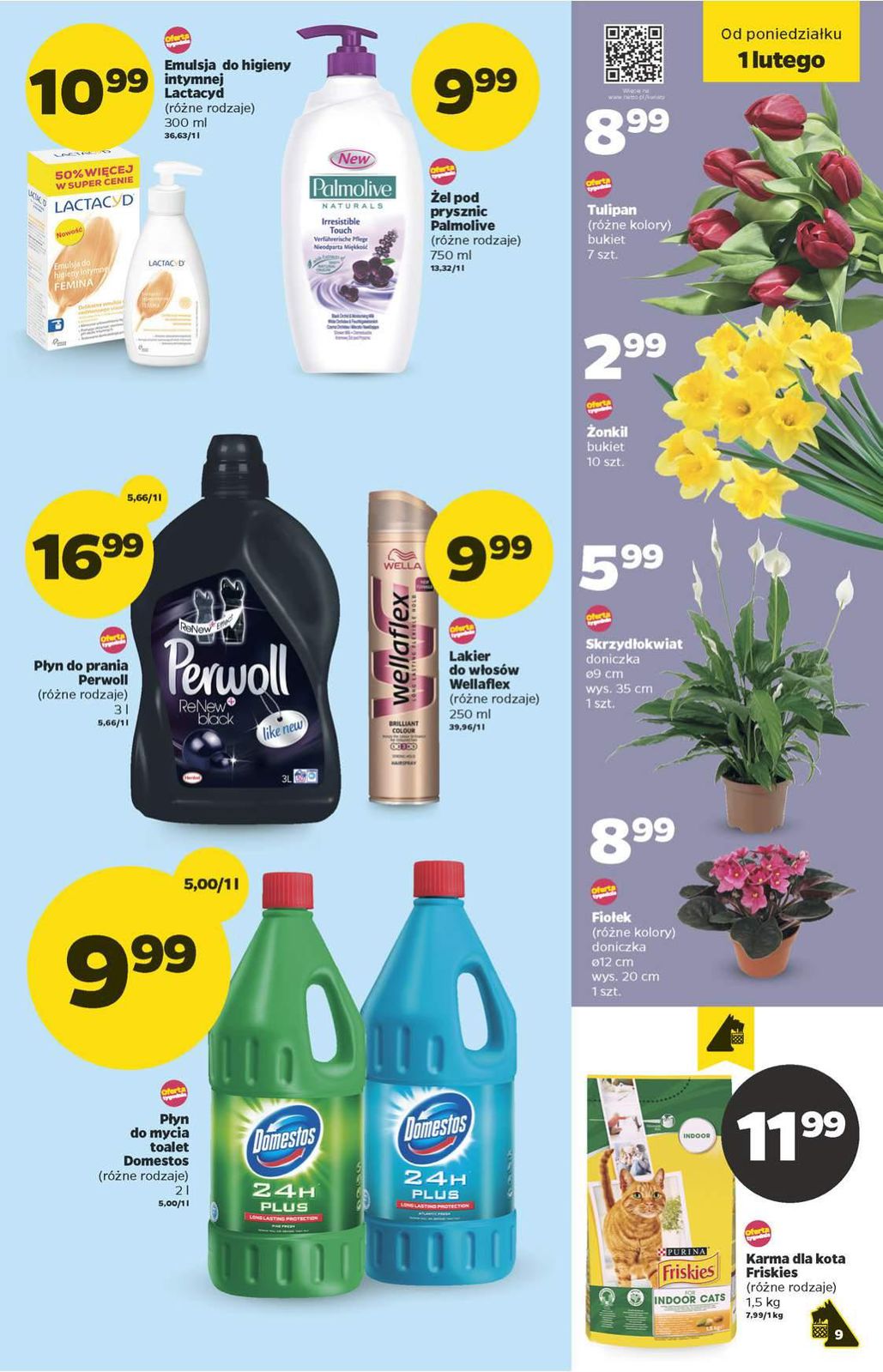 Gazetka promocyjna Netto do 07/02/2016 str.9