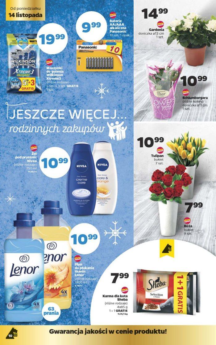 Gazetka promocyjna Netto do 20/11/2016 str.10