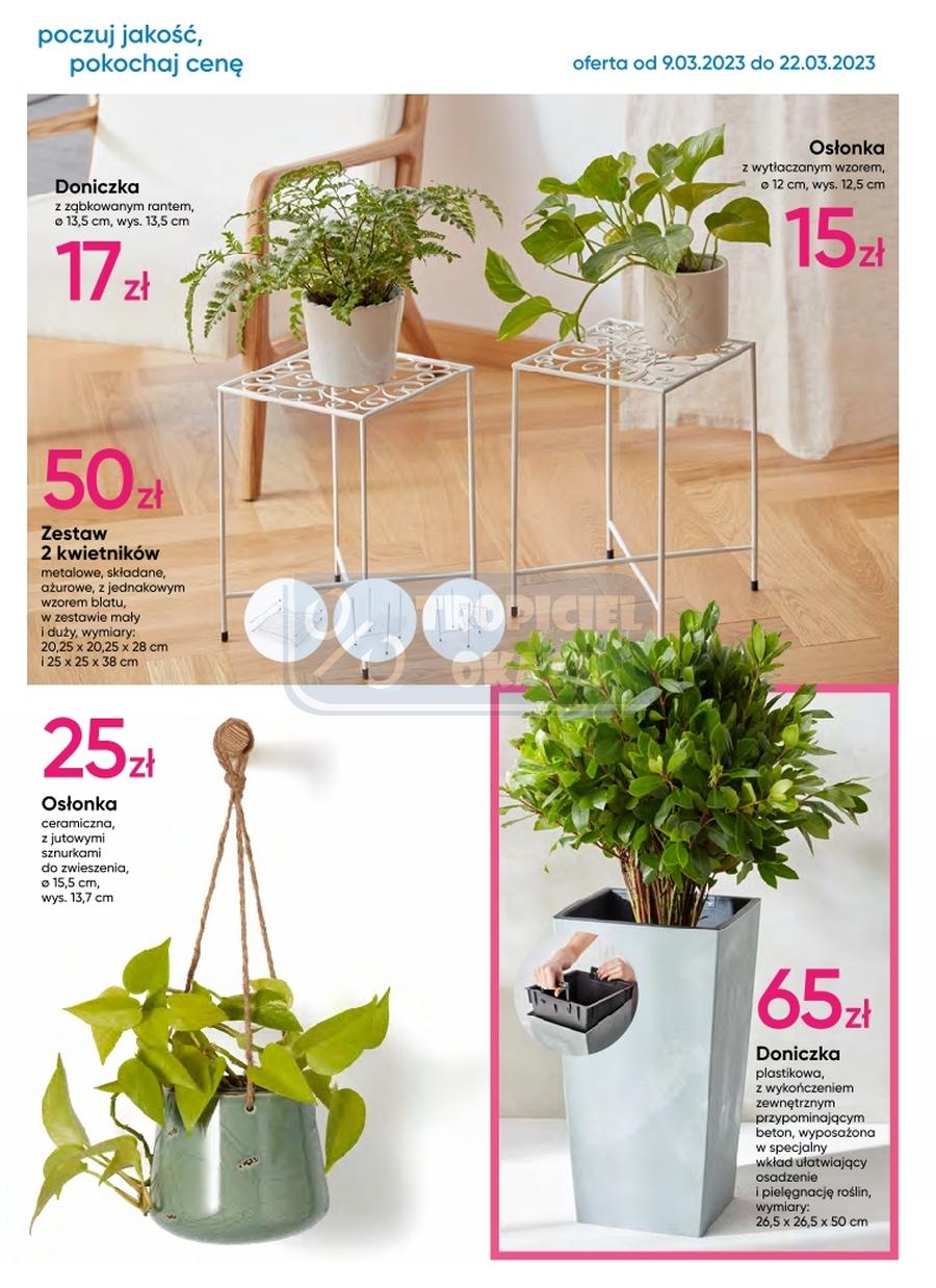 Gazetka promocyjna Pepco do 22/03/2023 str.12