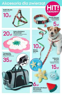 Pepco katalog