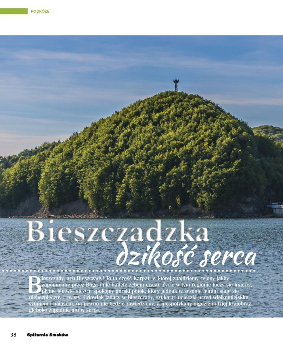 Gazetka promocyjna Piotr i Paweł do 23/06/2016 str.40