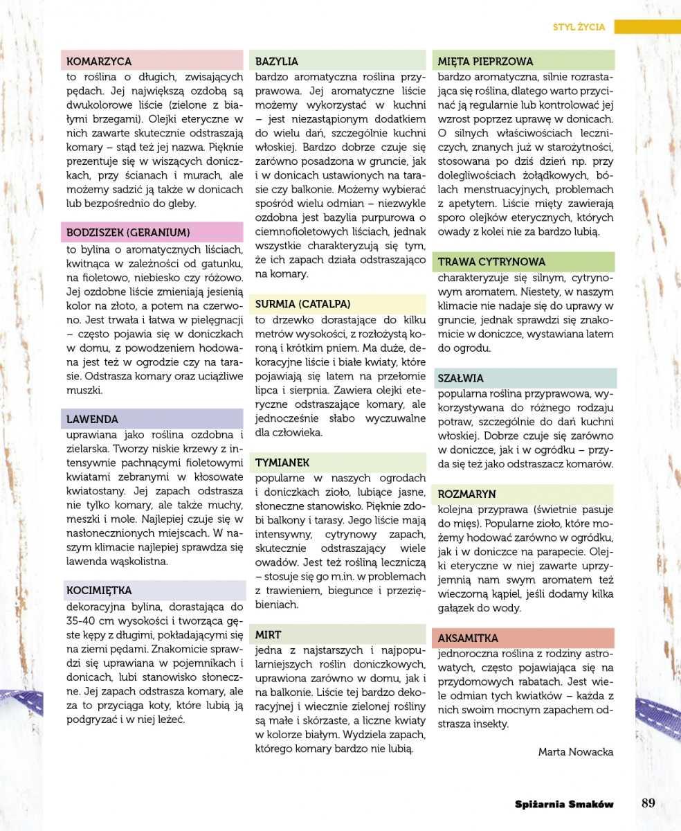 Gazetka promocyjna Piotr i Paweł do 21/09/2016 str.91
