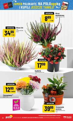 Gazetka Polomarket