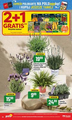 Gazetka Polomarket