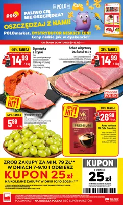 Gazetka Polomarket E