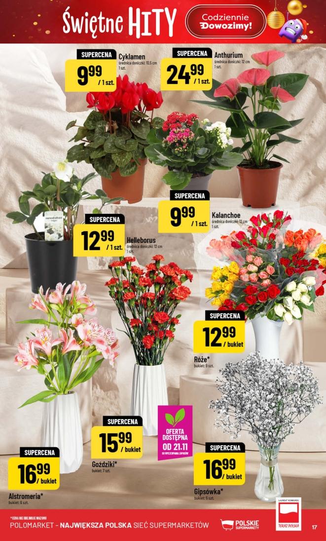 Gazetka promocyjna POLOmarket do 25/11/2025 str.17