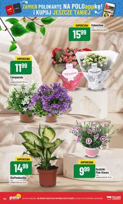 Gazetka Polomarket  