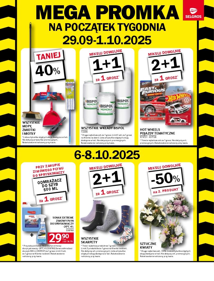 Gazetka promocyjna Selgros do 08/10/2025 str.38