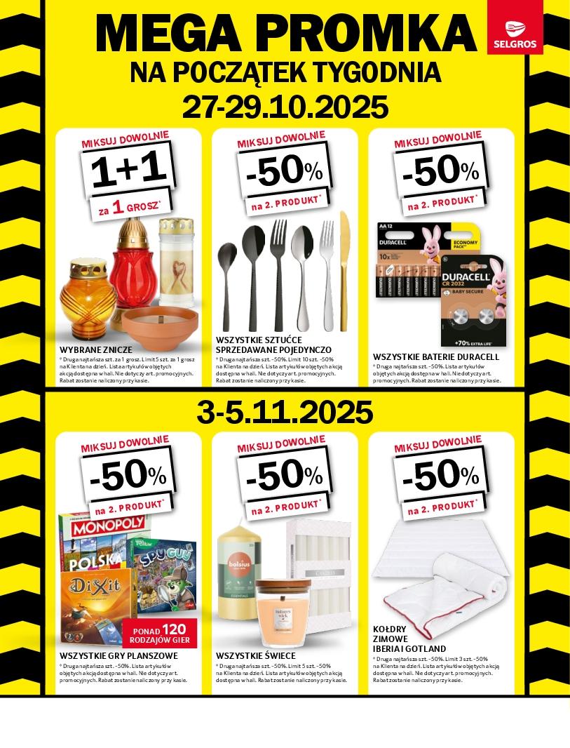 Gazetka promocyjna Selgros do 05/11/2025 str.42