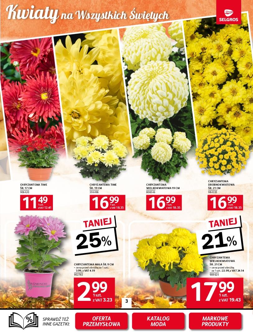 Gazetka promocyjna Selgros do 05/11/2025 str.3