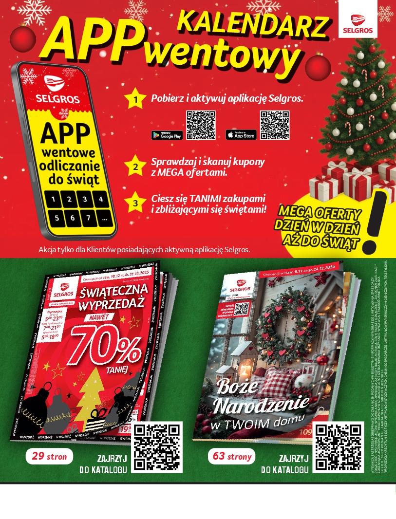 Gazetka promocyjna Selgros do 31/12/2025 str.2