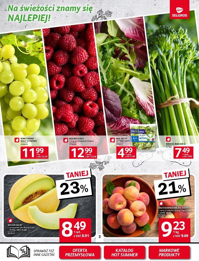 Gazetka promocyjna Selgros do 30/07/2025 str.3