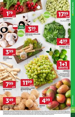 Gazetka Stokrotka