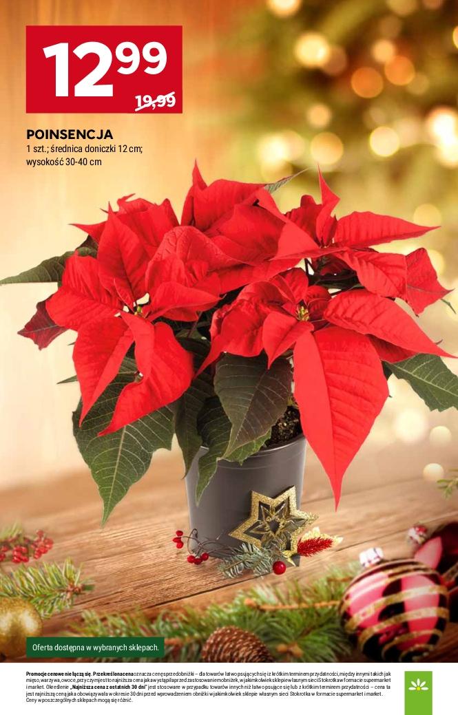 Gazetka promocyjna Stokrotka do 17/12/2025 str.8