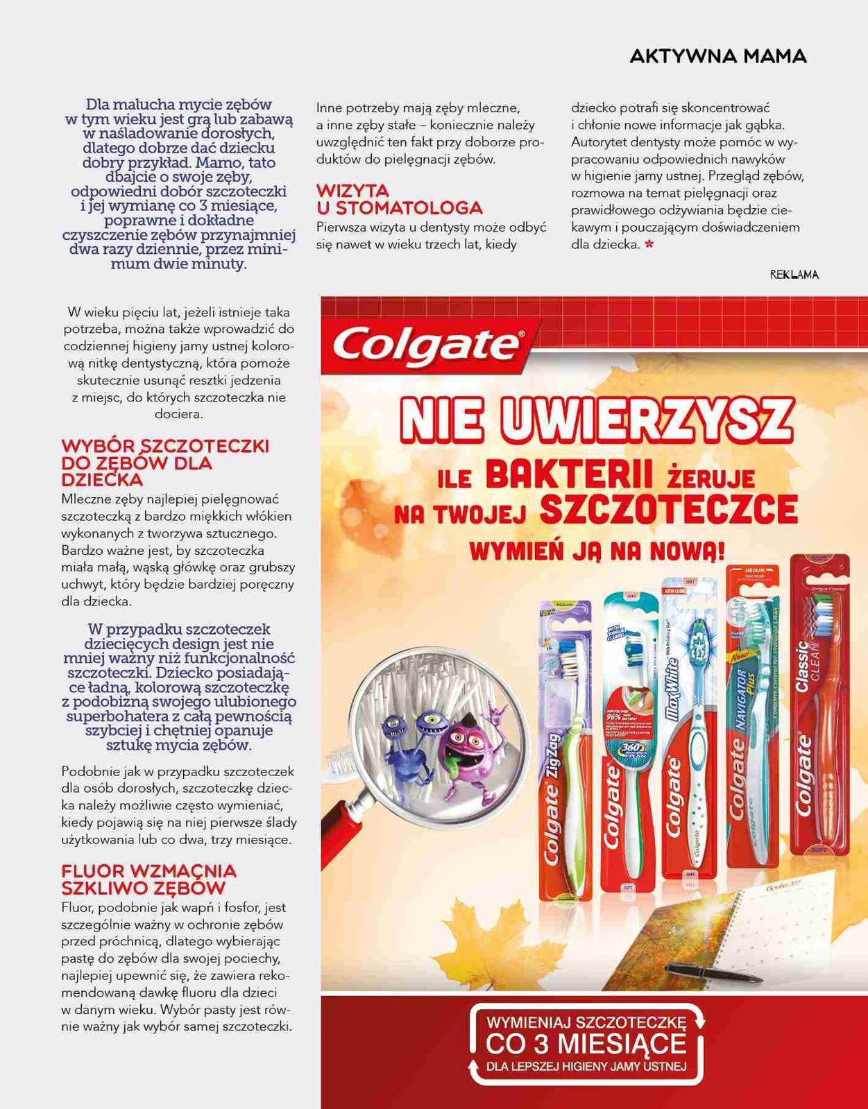 Gazetka promocyjna Stokrotka do 31/12/2015 str.47