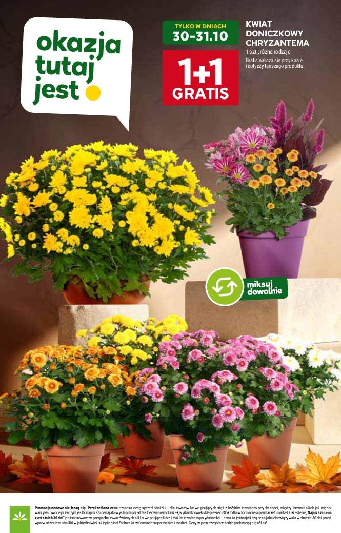 Gazetka promocyjna Stokrotka do 05/11/2025 str.6