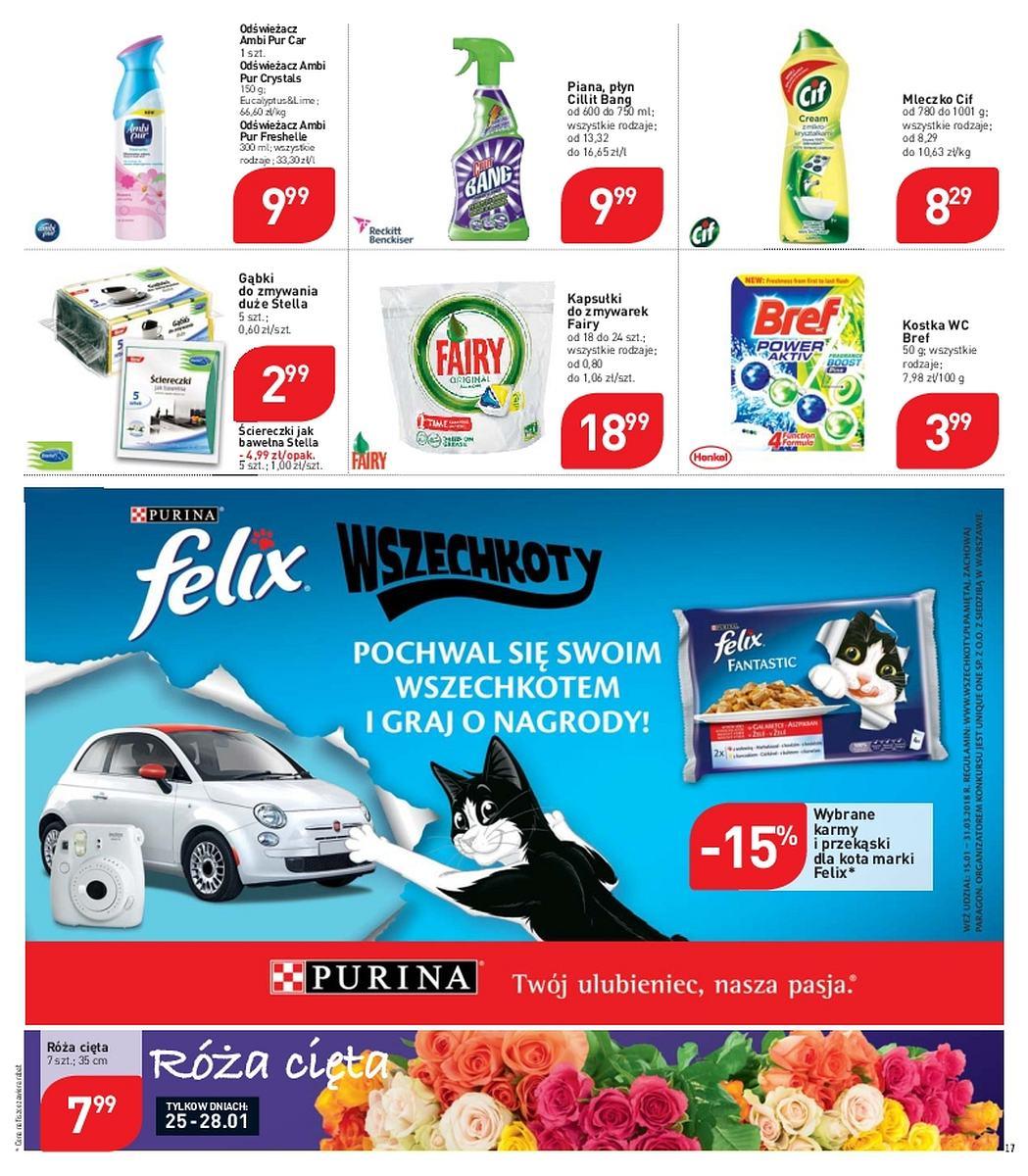 Gazetka promocyjna Stokrotka do 31/01/2018 str.17