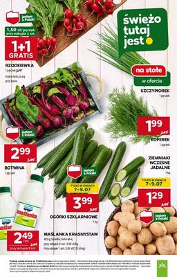 Gazetka Stokrotka