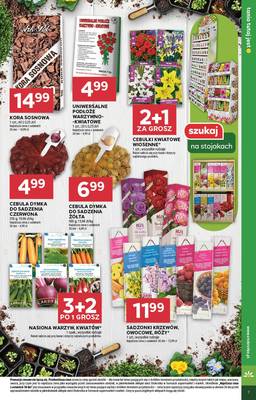 Gazetka Stokrotka