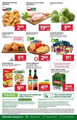 Gazetka Stokrotka