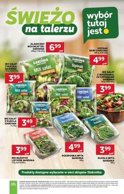 Gazetka Stokrotka 