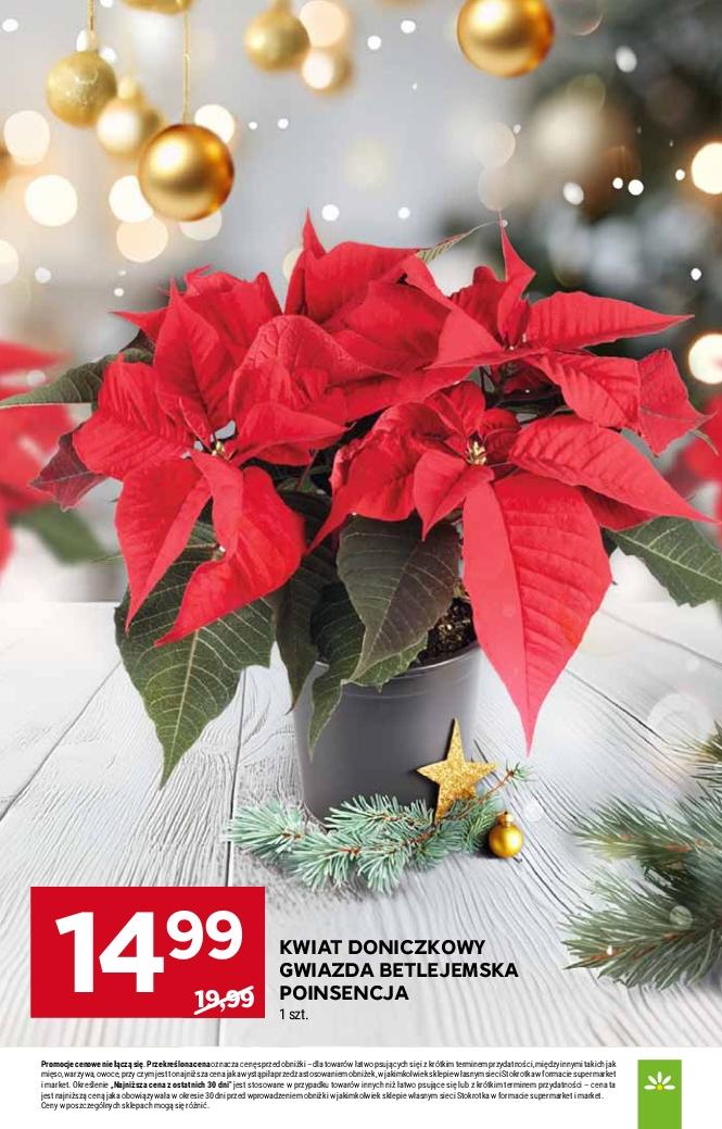 Gazetka promocyjna Stokrotka do 03/12/2025 str.11