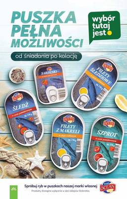 Gazetka Stokrotka