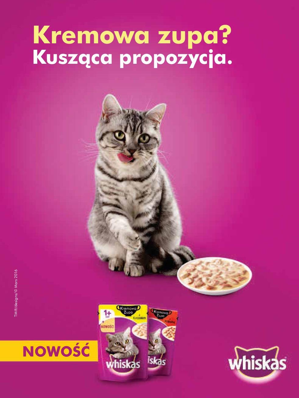 Gazetka promocyjna Tesco do 23/09/2016 str.107