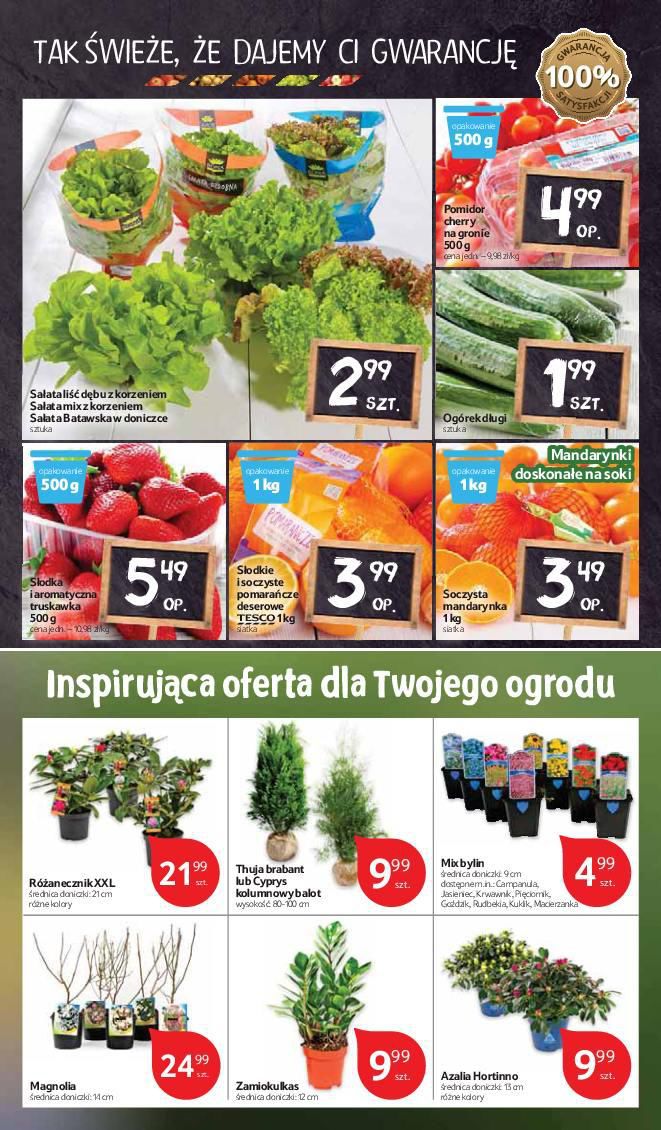 Gazetka promocyjna Tesco do 06/04/2016 str.11